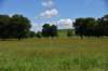 dsc_3510_fs_small.jpg
