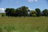 dsc_3511_fs_small.jpg