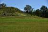 dsc_3516_fs_small.jpg