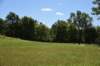 dsc_3517_fs_small.jpg