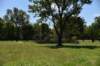 dsc_3518_fs_small.jpg