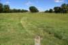 dsc_3520_fs_small.jpg