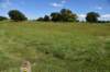 dsc_3521_fs_small.jpg