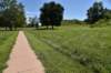 dsc_3525_fs_small.jpg
