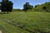 dsc_3526_fs_small.jpg