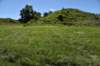 dsc_3527_fs_small.jpg