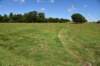 dsc_3534_fs_small.jpg
