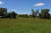 dsc_3536_fs_small.jpg