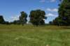 dsc_3540_fs_small.jpg
