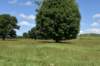 dsc_3541_fs_small.jpg