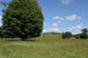 dsc_3542_fs_small.jpg