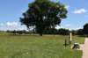 dsc_3547_fs_small.jpg