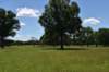 dsc_3551_fs_small.jpg