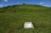 dsc_3563_fs_small.jpg