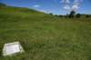 dsc_3564_fs_small.jpg