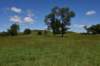 dsc_3566_fs_small.jpg