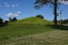 dsc_3570_fs_small.jpg