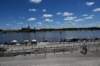 dsc_3610_fs_small.jpg