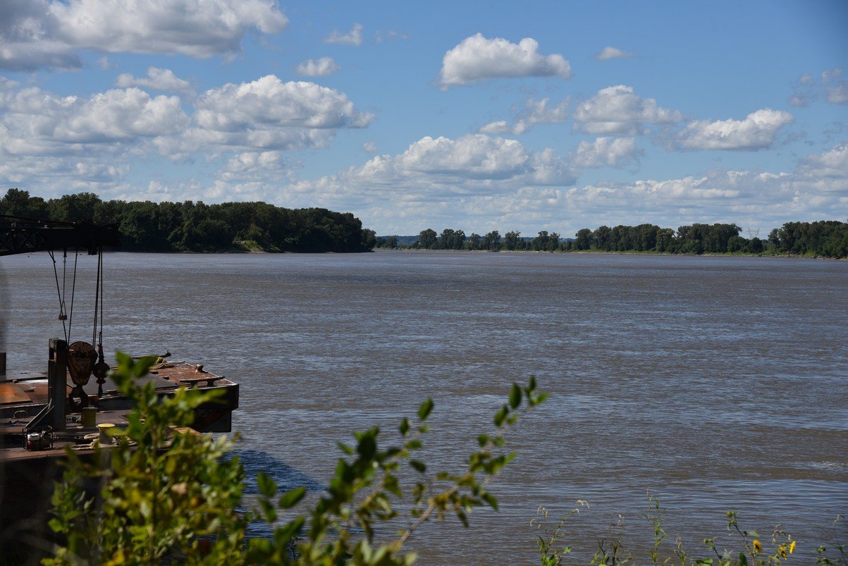 dsc_3739_fs.jpg