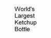 largestketchup_small.jpg