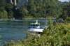 dsc_7346_fs_small.jpg