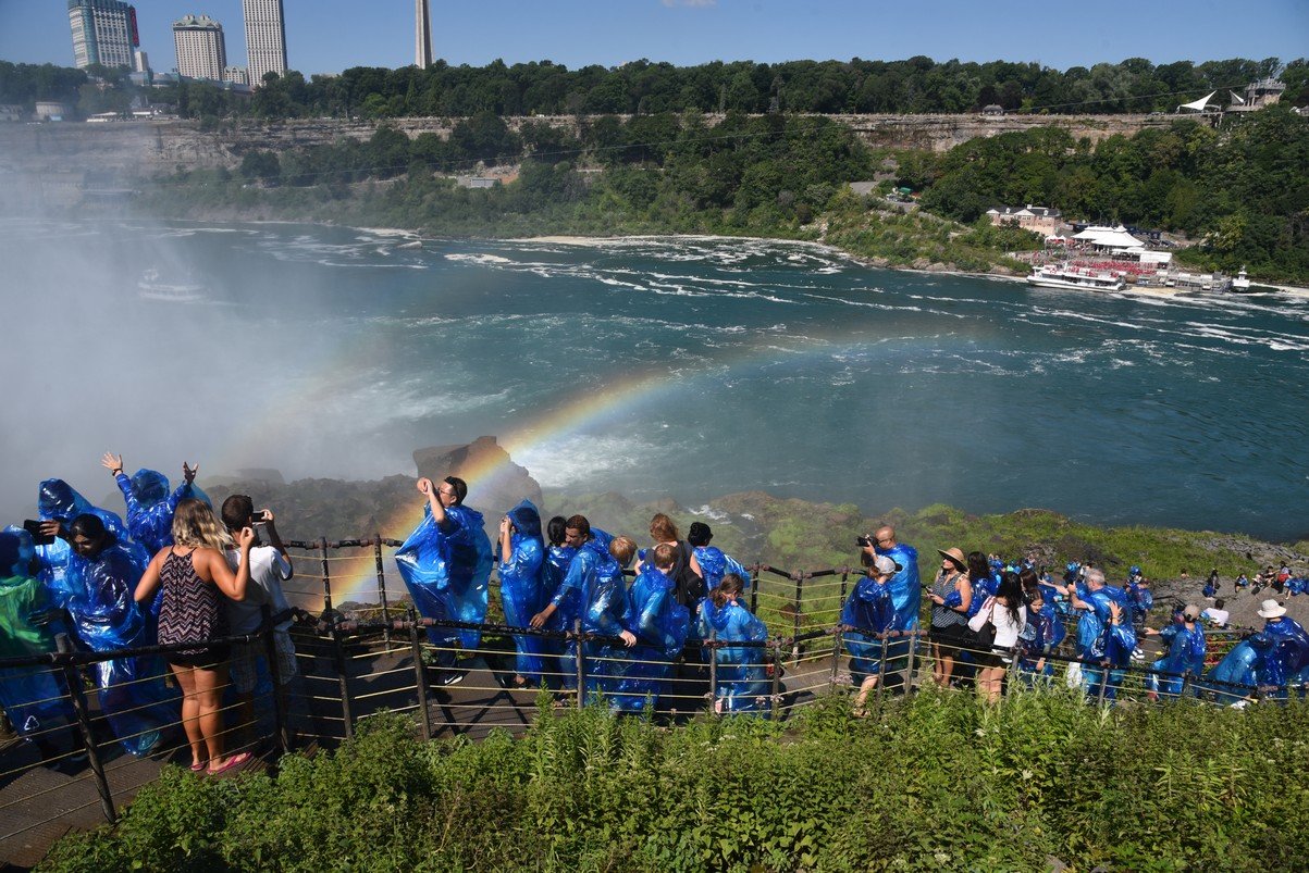 dsc_7352_fs.jpg