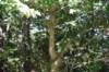 dsc_3787_fs_small.jpg