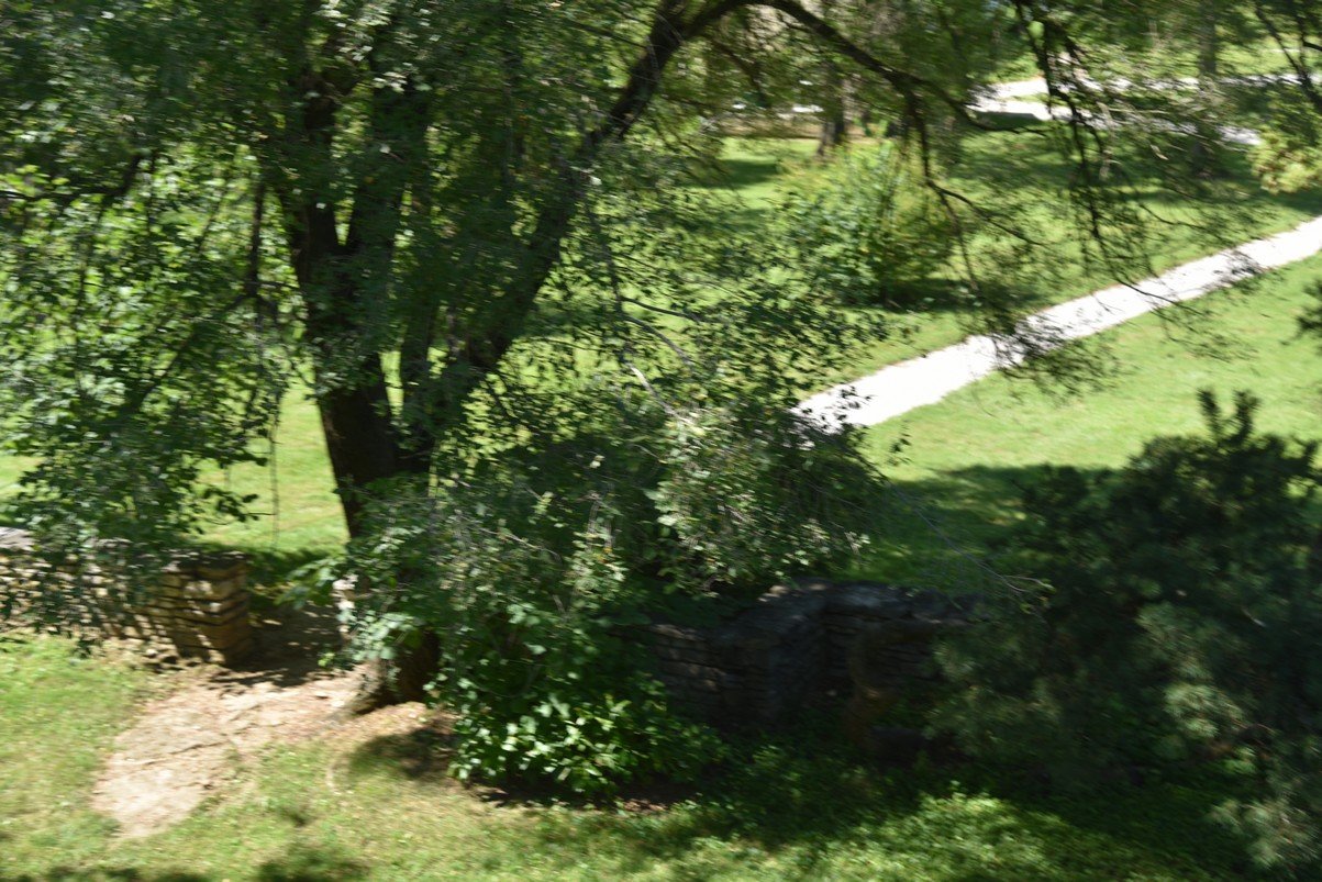 dsc_3838_fs.jpg