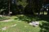 dsc_3887_fs_small.jpg