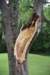 dsc_4130_fs_small.jpg