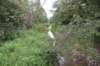 dsc_4156_fs_small.jpg