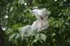 dsc_4157_fs_small.jpg