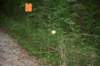 dsc_4159_fs_small.jpg