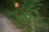 dsc_4160_fs_small.jpg