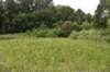 dsc_4173_fs_small.jpg