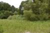 dsc_4175_fs_small.jpg
