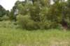 dsc_4176_fs_small.jpg