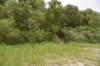 dsc_4177_fs_small.jpg