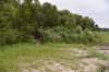 dsc_4178_fs_small.jpg