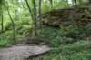 dsc_4184_fs_small.jpg
