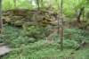 dsc_4185_fs_small.jpg