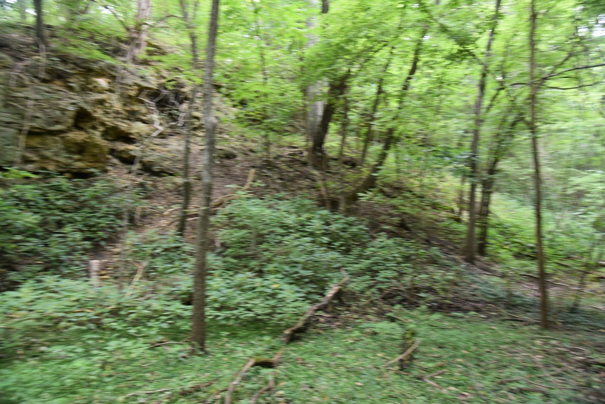 dsc_4186_fs.jpg