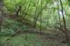 dsc_4187_fs_small.jpg