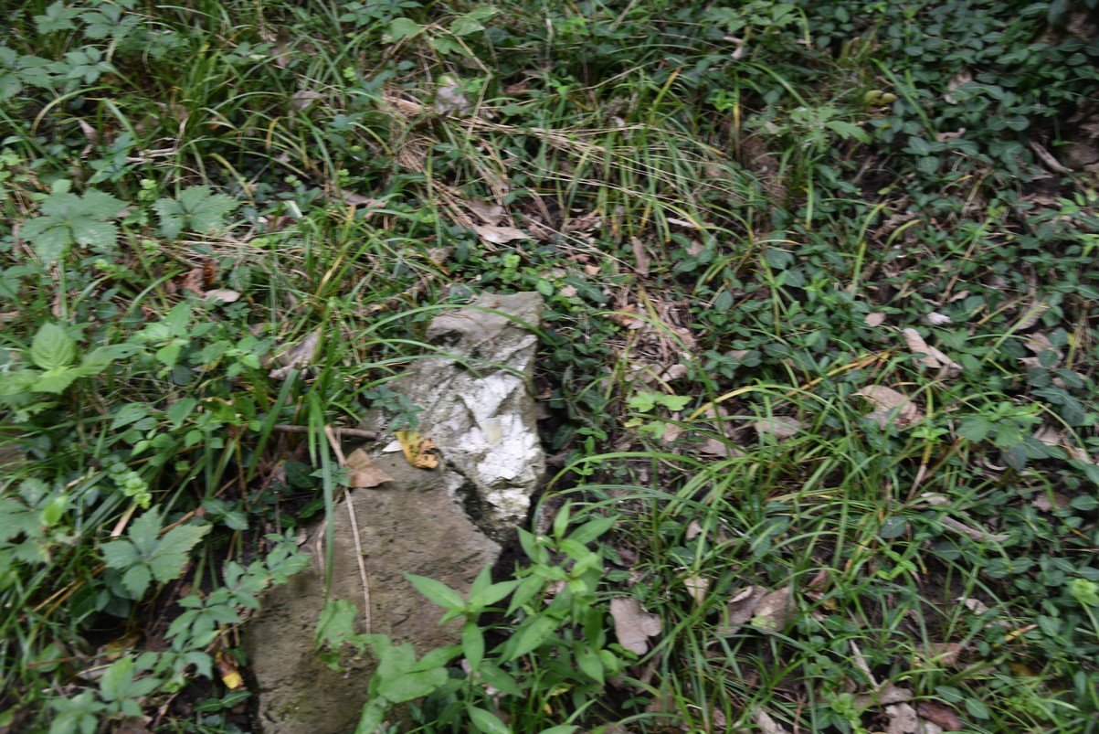 dsc_4189_fs.jpg