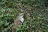 dsc_4189_fs_small.jpg