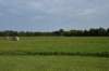 dsc_4243_fs_small.jpg