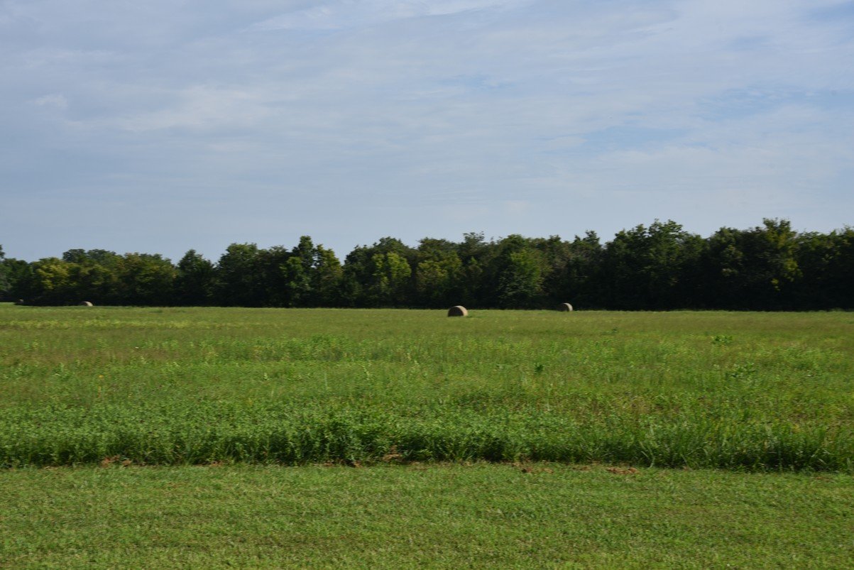 dsc_4244_fs.jpg