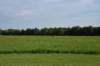 dsc_4244_fs_small.jpg