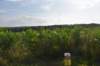 dsc_4278_fs_small.jpg
