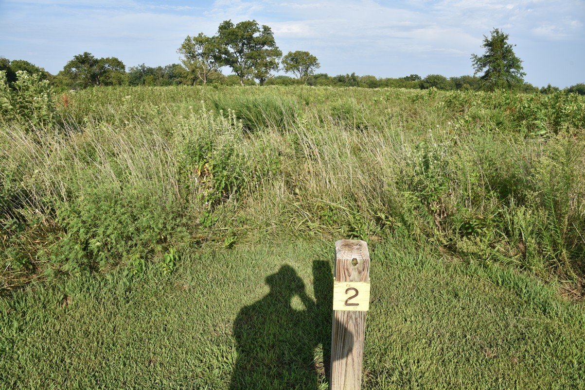 dsc_4280_fs.jpg